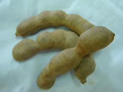 河南金葉香料-羅望子提取物